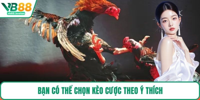Bạn có thể chọn kèo cược theo ý thích