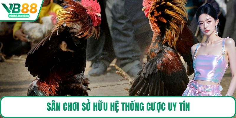 Sân chơi sở hữu hệ thống cược uy tín